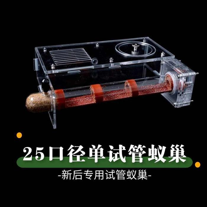 Diki_Diku Formicarium Gen 1 Tube & Outworld 25Mm Gypsum, Formicarium Akrilik, Ants Nest, Ant, Gypsum