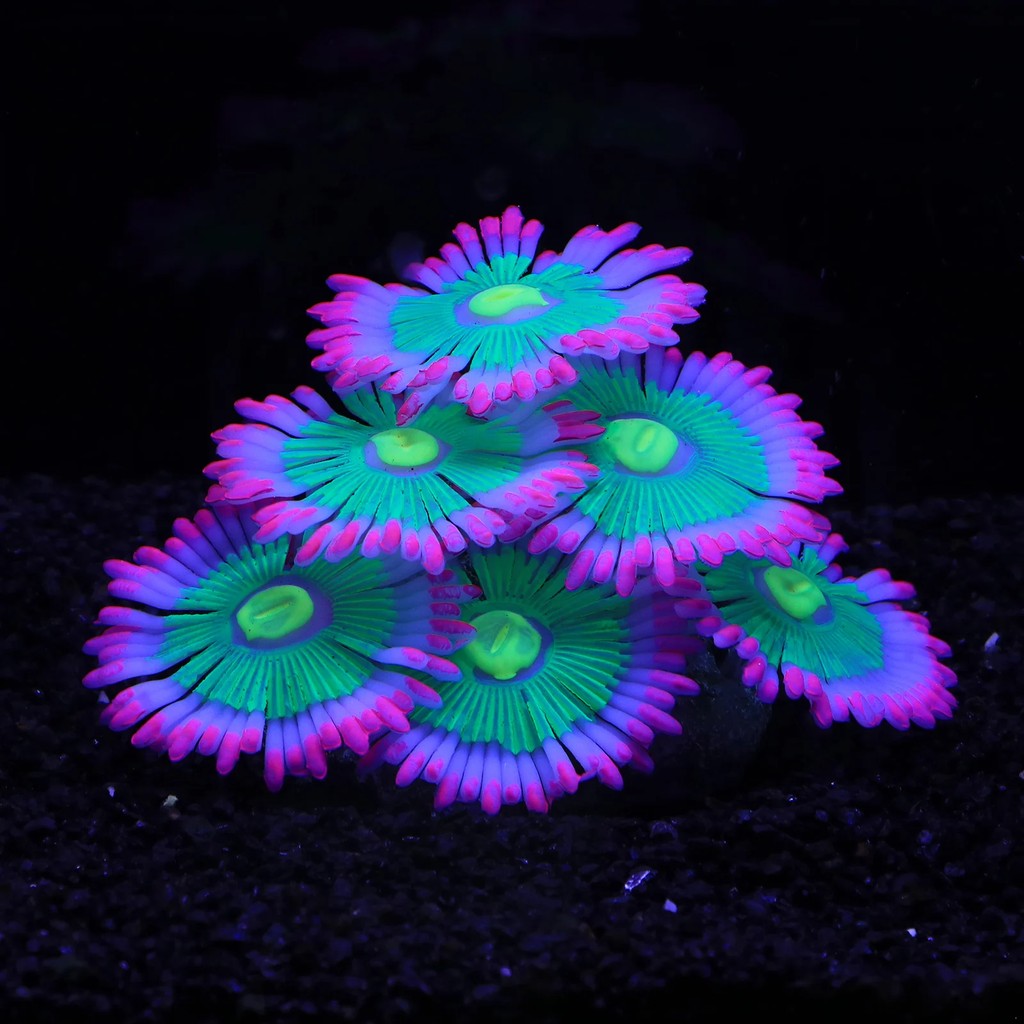 Soft Silicone Aquarium Coral, Aquarium Coral Decorations Artificial Ornament for Fish Tank