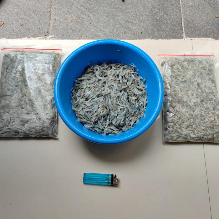 UDANG SAWAH UDANG AIR TAWAR BEKU PAKAN IKAN PREDATOR AROWANA PBASS