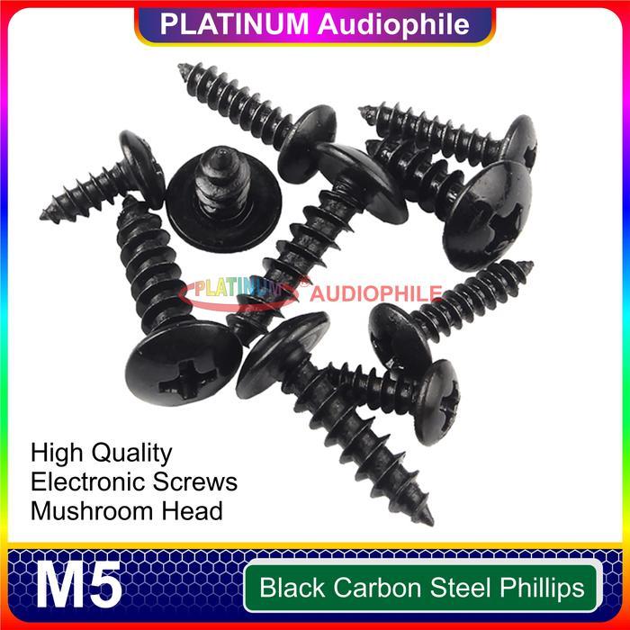 "New" Sekrup Hitam M5 50pcs Speaker Baut Skrup kasar lancip tajam Carbon Steel