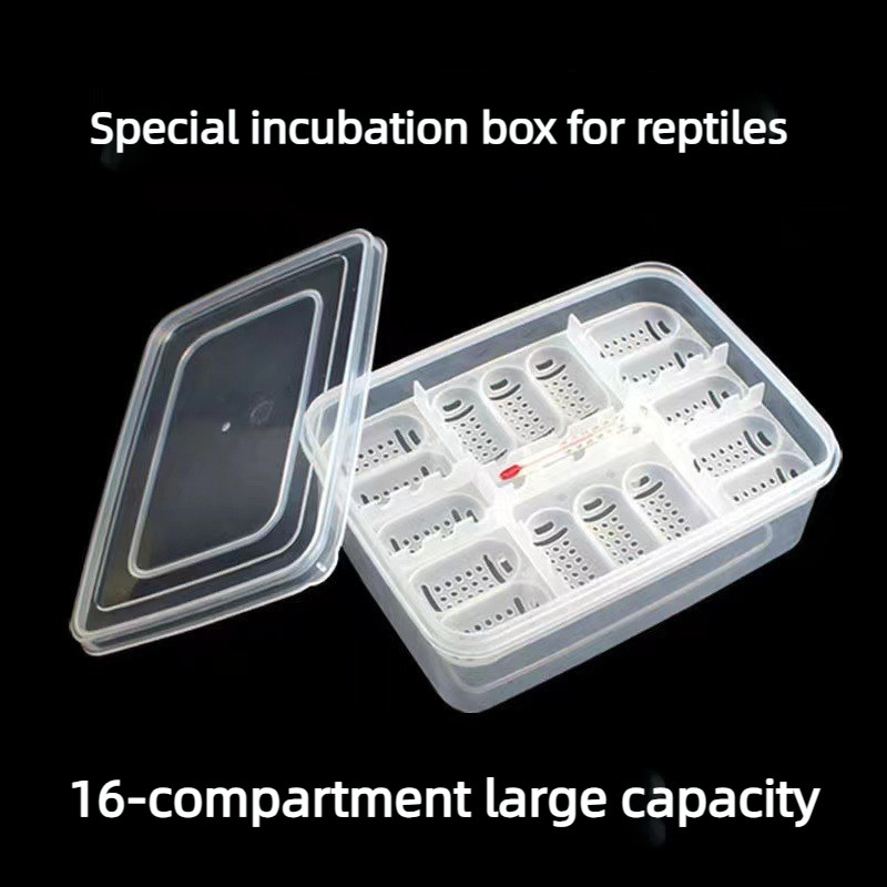 Reptile Gecko Lizard Turtle Aquatic Turtle Reptile Pet Media-Free Hatching Box Reptile Incubator