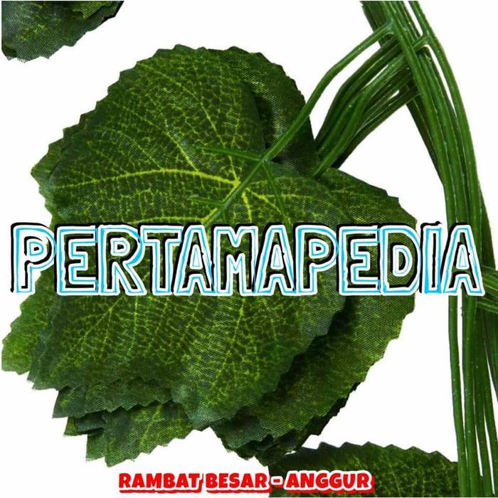 Daun Rambat Plastik/ Daun Rambat Palsu / Daun Rambat Sintetis /Aquaria
