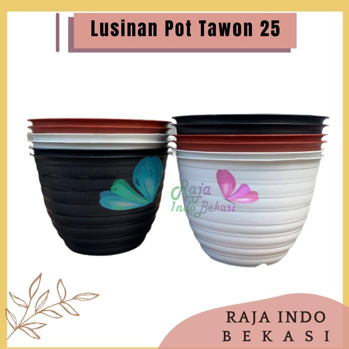 Koralineshop Raja Indo Bekasi 1/2 Lusin Pot Tawon 25 / Pot Tanaman / Pot Bunga