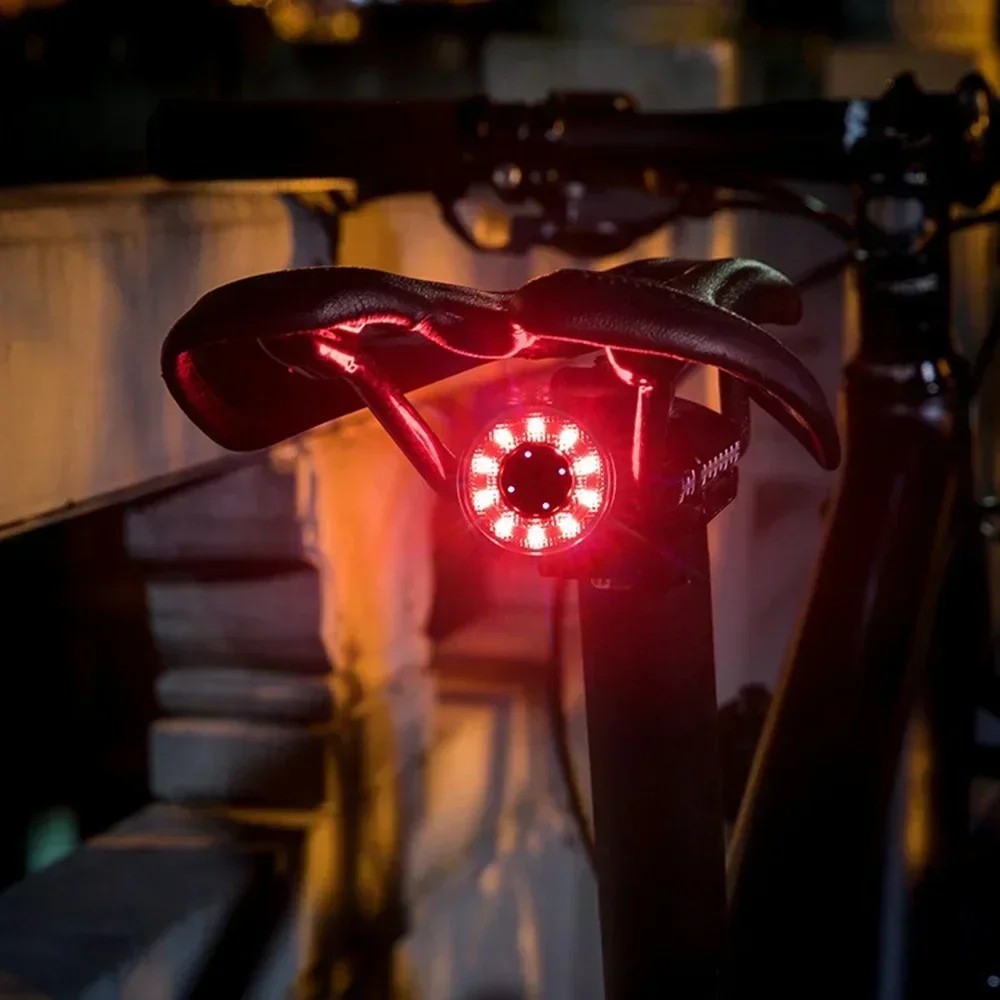 FZCSPEED Bicycle Tail Light, Bicycle Saddle Light Waterproof, USB Rechargeable Light, Bicycle Night