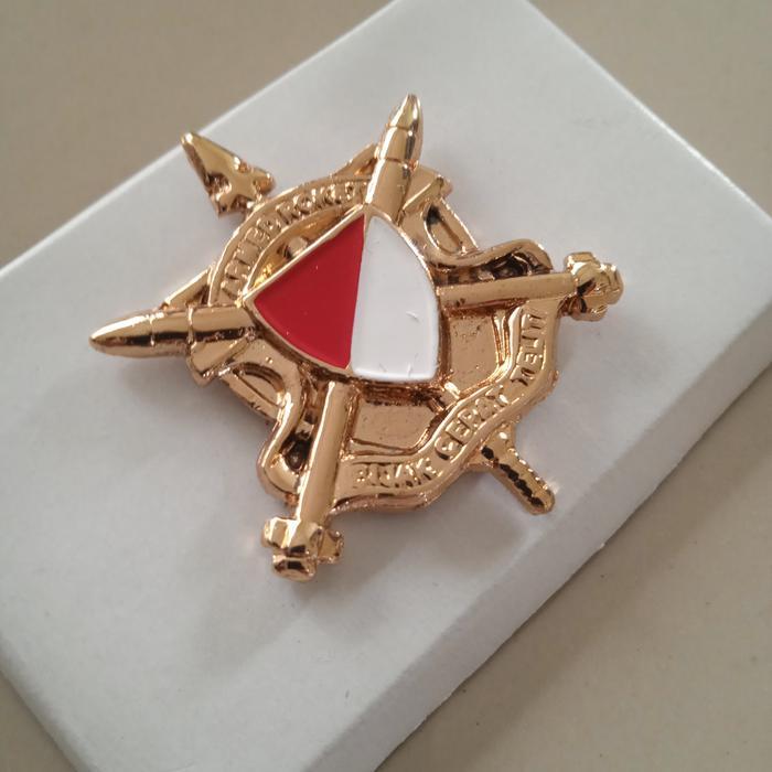 brevet wing armed astros