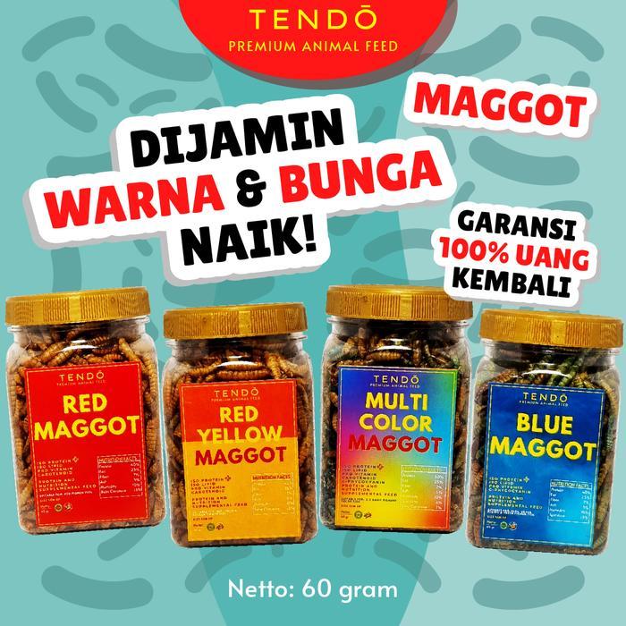 Pakan Makanan Ikan Channa Red Maru, Red Barito Maggot Kering Tendo
