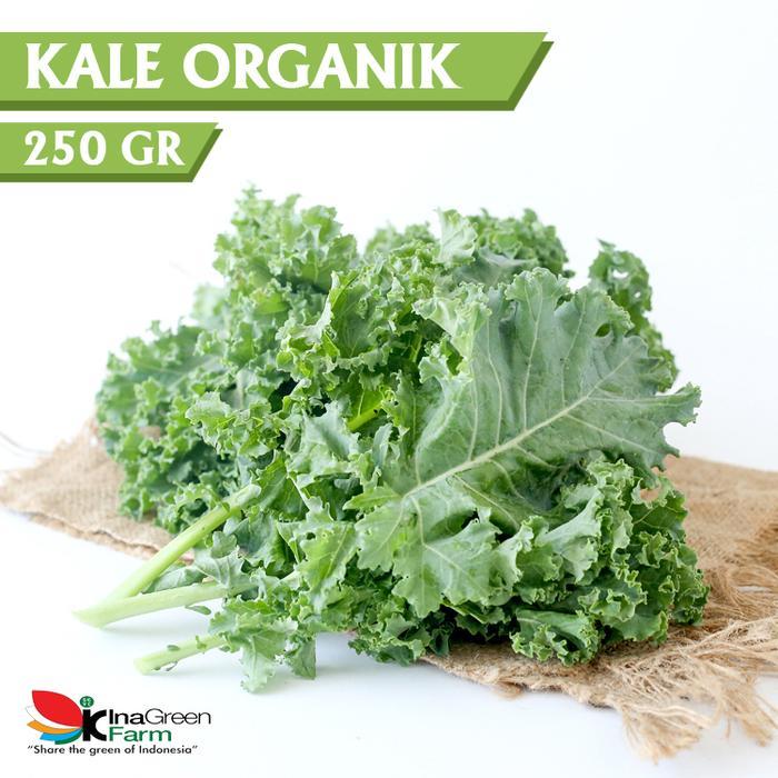 Sayur Kale Organik Inagreen 250 Gram Bandung