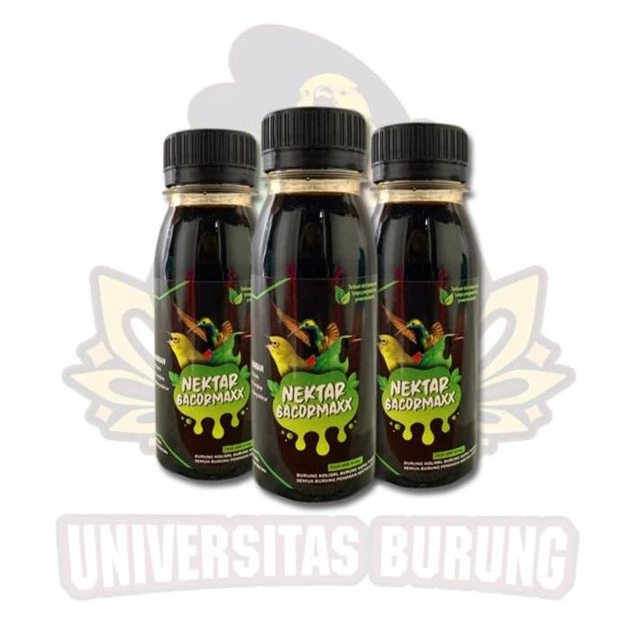 Nektar Gacormaxx (H174M) Pleci Sogon Colibri Gacor Maxx Makanan Burung Peliharaan