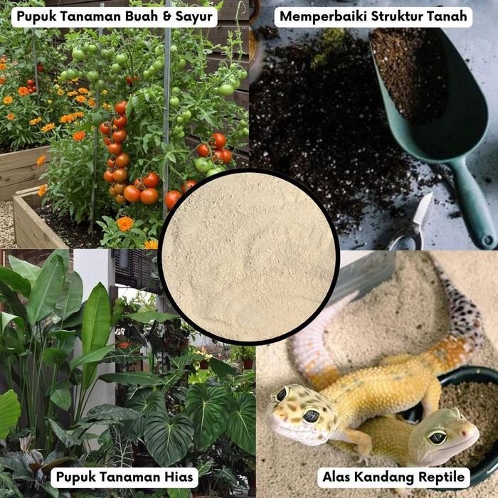 NEWW Kapur Dolomit - Pupuk Dolomit Untuk Tanaman Hias / Dolomit Reptil