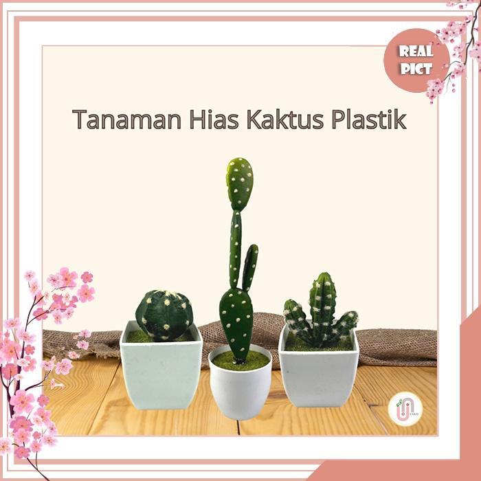 [] UNICO Tanaman Hias Mini Pohon Kaktus Lucu Dekorasi Rumah Cantik Tanaman Artificial Pajangan Rak