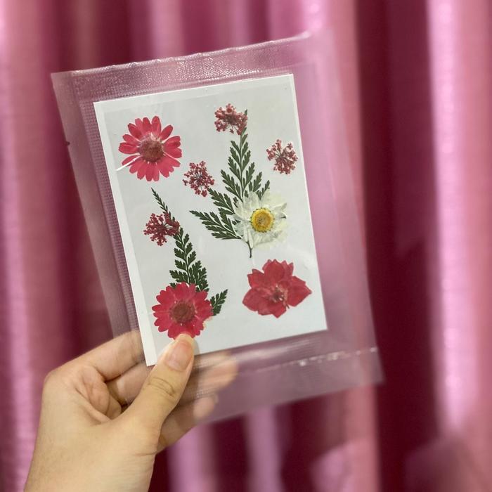 Dried flower pressed flower bunga kering