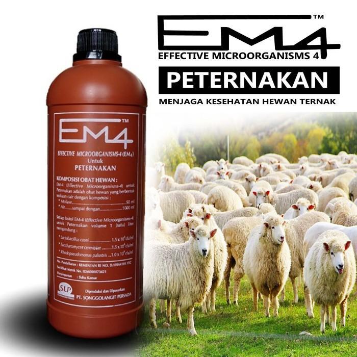 Bioactivator EM4 Probiotik Peternakan fermentasi pakan ternak