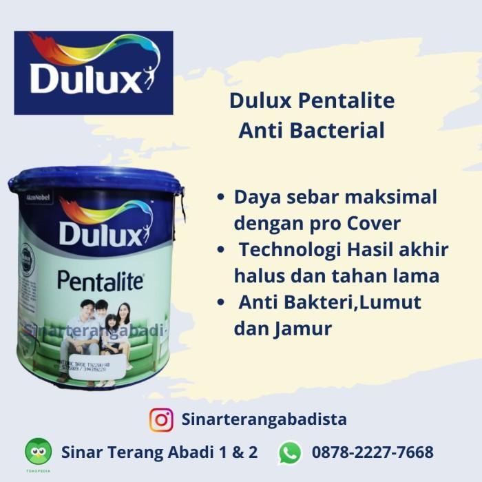 Cat Tembok Dulux Pentalite Base Av 20 Ltr - Breaking Grey