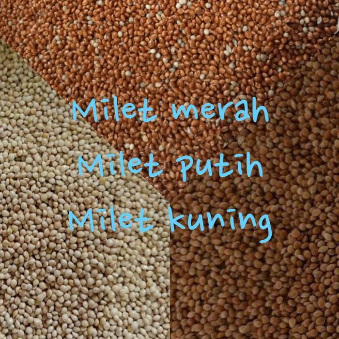Milet Merah Milet Putih Milet Kuning 1Kg Pakan Burung Kenari Lovebird Parkit Perkutut Dll
