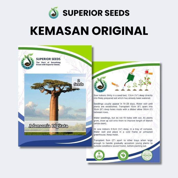 Koralineshop Biji Benih Pohon Baobab Raksasa (Superior Seeds)