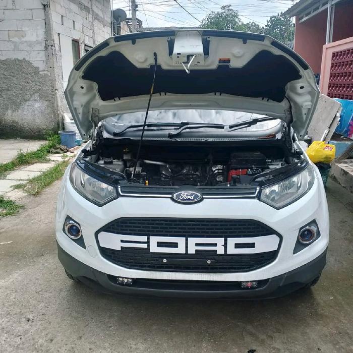 Grill Ford Ecosport Grill Ford