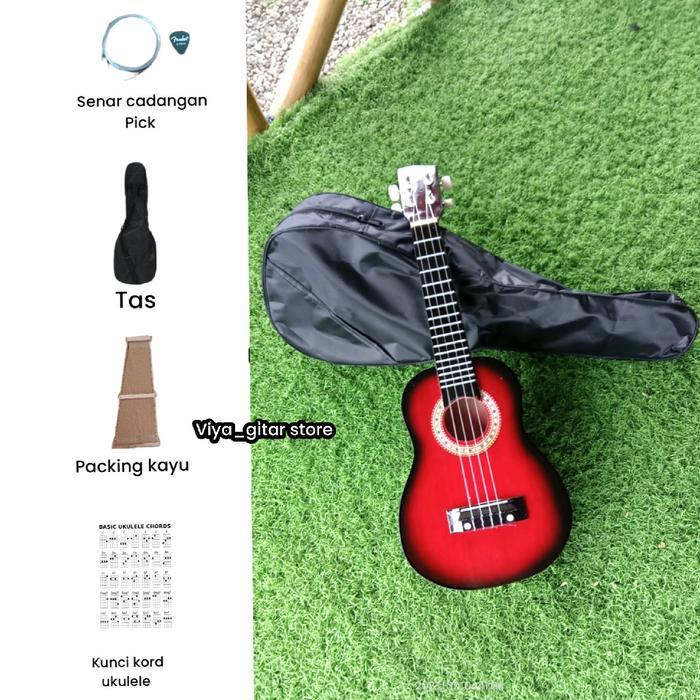 ukulele senar 4/kentrung /gitar kecil Gitar