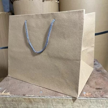 Paper Bag 25x22x26 Cm (PAKET 12 PCS) / Tas Kertas / Tas Kado / Tas Souvenir / Tas Tumbler