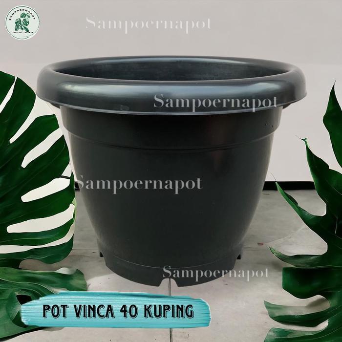 Pot Bunga Tanaman Plastik Hitam Vinca 40 Kuping - Vinca 40 Kuping
