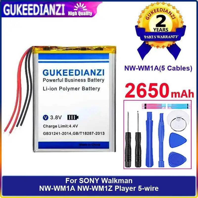 NW-WM1A 5 Cables High Performance 2650mAh Durable For Sony Walkman NW-WM1A NW-WM1Z 5-Wire Portable