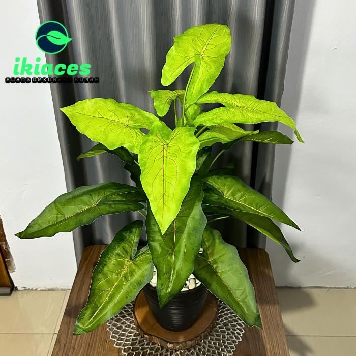 "New" DAUN CALADIUM ARTIFISIAL DAUN KELADI JUMBO PLASTIK BUNGA HIAS SUDUT RUMAH DEKORASI BUNGA