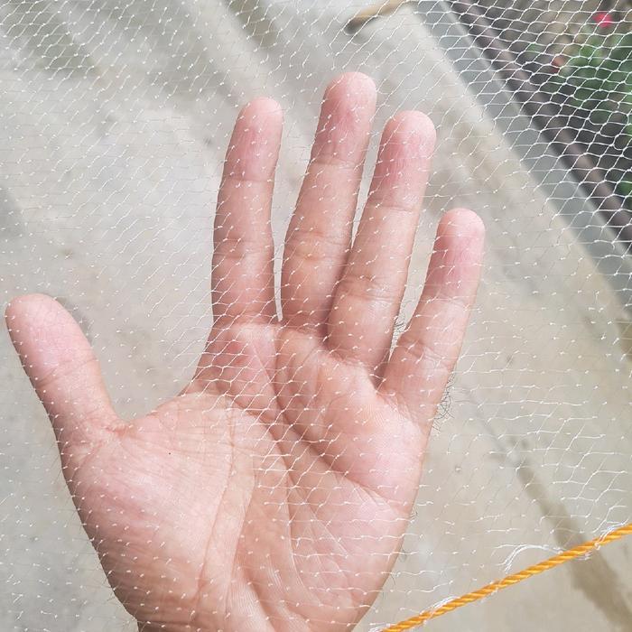 jaring anco ikan udang wader lubang 3/8 inchi