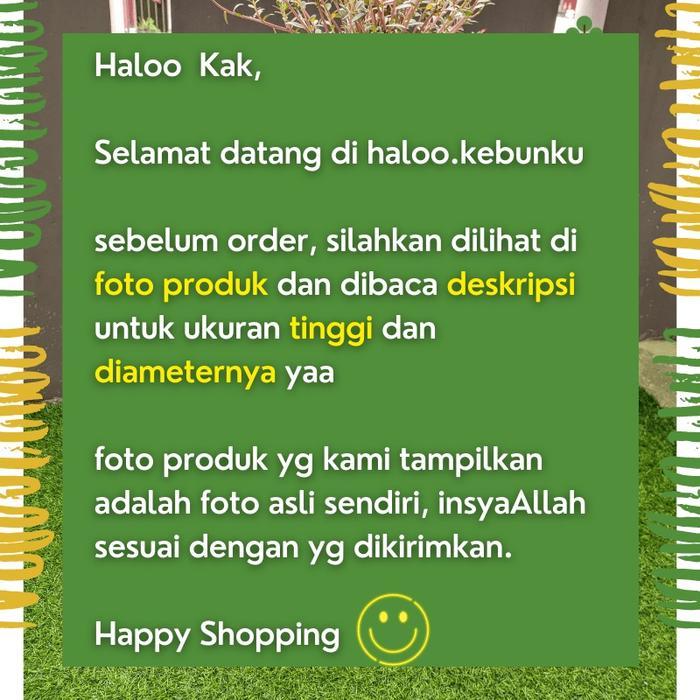 Koralineshop Gantungan Sangkar Burung Pot Bahan Besi --*_U"