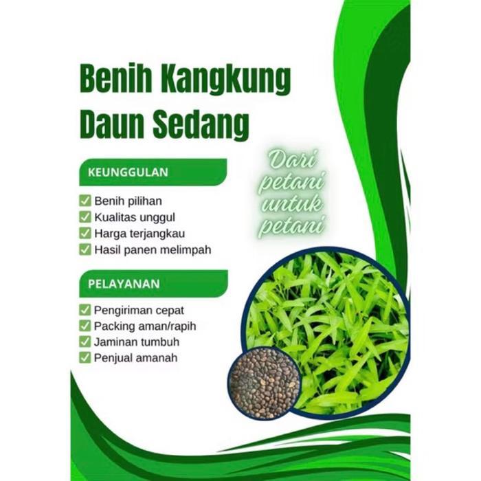 Benih/Bibit Kangkung Daun Sedang Kemasan Kiloan