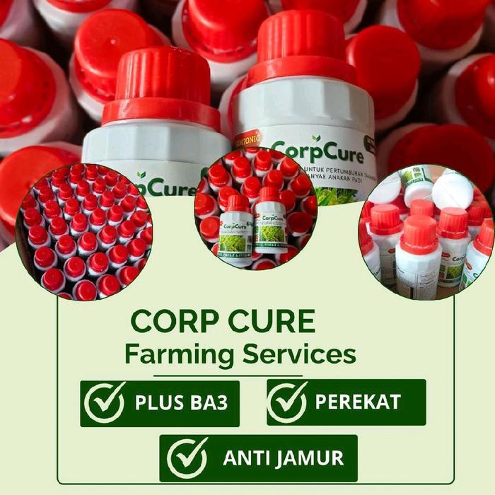 "New" CORPCURE OBAT HAMA AMPUH 100% UNTUK ATASI HAMA PADI DAN MELEBATKAN BUAH PADI MENGANDUNG ZPT