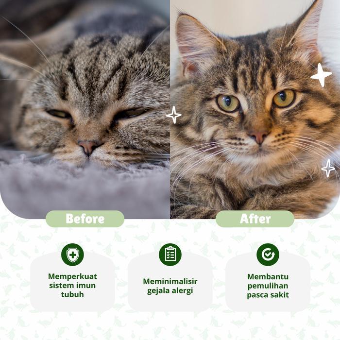 Prof. Bengal Pro Immune Camilan Kucing - Suplemen Kucing untuk Immune Booster Daya Tahan Tubuh