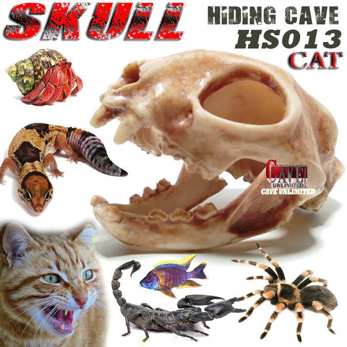 HS014 HIDING SKULL CAVE TENGKORAK KEPALA KUCING CAT ORNAMEN AQUASCAPE IKAN TEMPAT SEMBUNYI HEWAN
