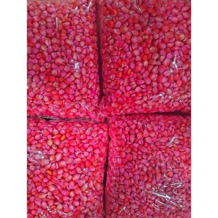 Little_Little_ 1 Kg Benih Jagung Siap Tanam Perkasa,Sumo,212, P27, P21,18,Jago Ar Garden Seed