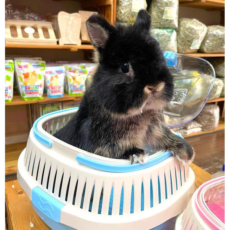 Pristinepitch Umi Pet Carrier / Tas Hewan / Pet Carrier