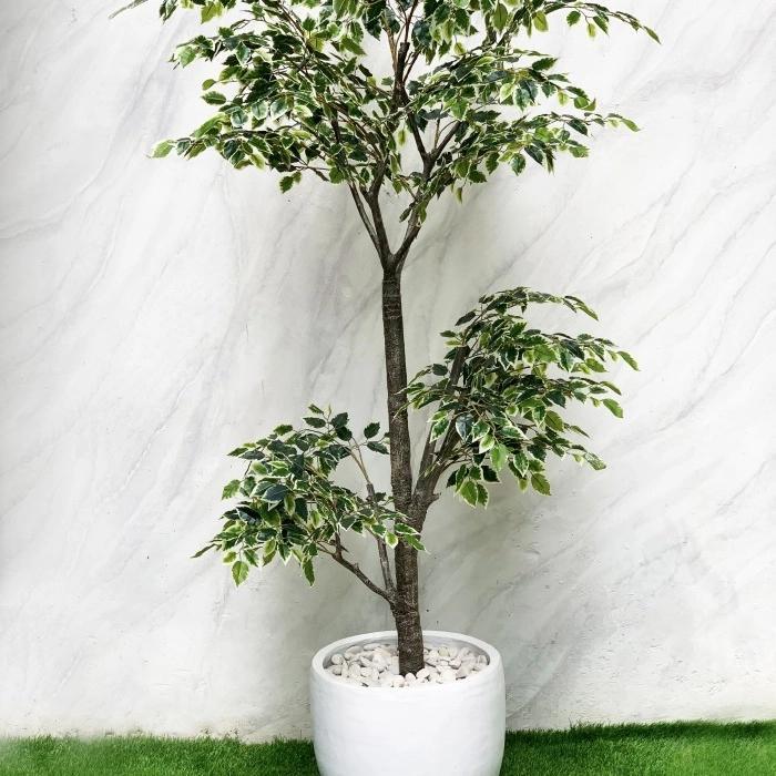 Tanaman Hias Pohon Artificial Minificus Tinggi 2.2 m atau 2.5 meter