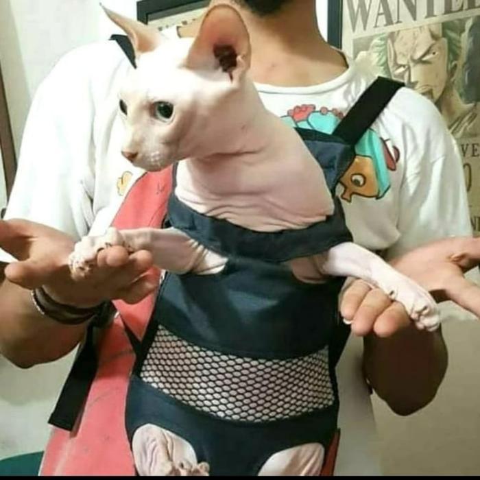 Premium Pet Carrier-Tas Gendong Kucing/Anjing-Gendongan Depan Belakang Kucing Original