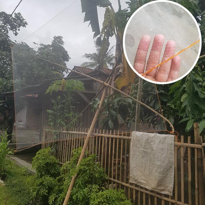 jaring anco penangkap ikan tradisional (lubang 3/8 inchi) untuk wader dan ikan kecil