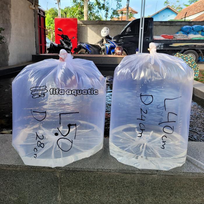 Plastik Roll Ikan Koi 1Kg Packing Bungkus Ikan