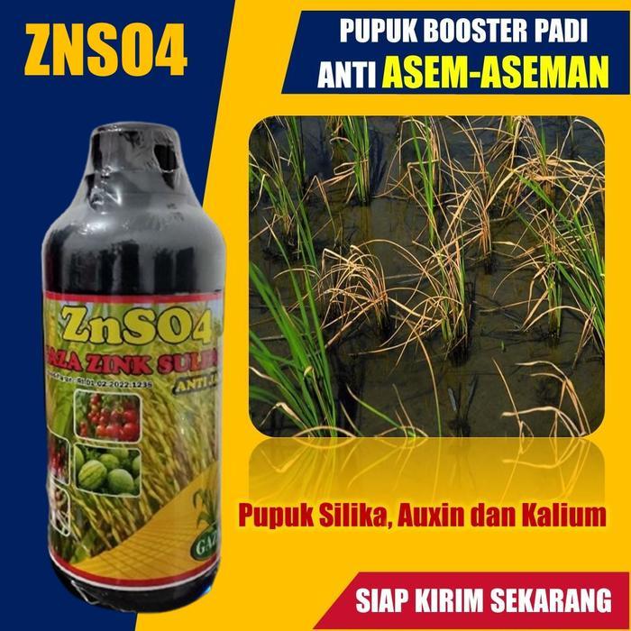 PUPUK PADI Anti Asam-asaman ZNSO4 isi 500 ML - Obat Pelebat Tanaman Padi Anti Penyakit Rebah Semai,