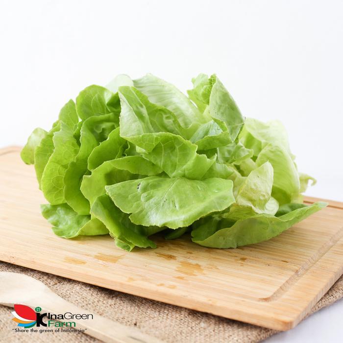 Sayur Butterhead lettuce Organik Inagreen 250 Gram Bandung