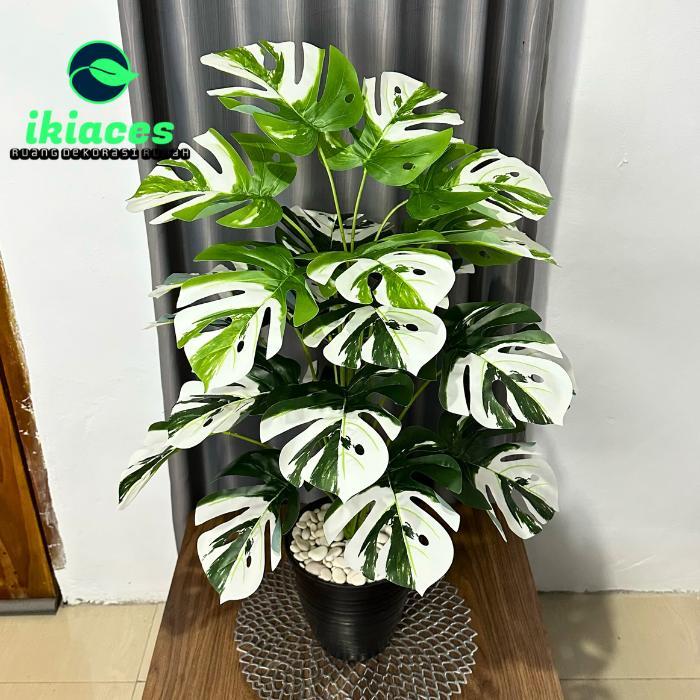 DAUN MONSTERA JUMBO VARIEGATA ARTIFICIAL 1 METER DAUN PLASTIK DEKORASI