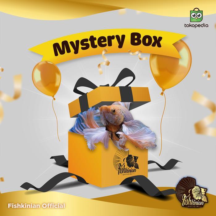 Mystery Box Ikan Cupang Fishkinian Official + Perlengkapan Lengkap