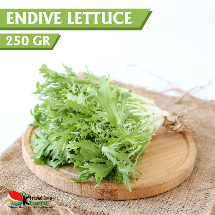 Sayur Endive Lettuce Organik Inagreen 250 Gram Bandung