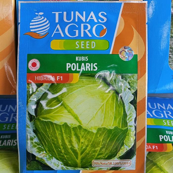 BENIH KUBIS POLARIS 10 GRAM & 20 GRAM HIBRIDA F1 - TUNAS AGRO SEED