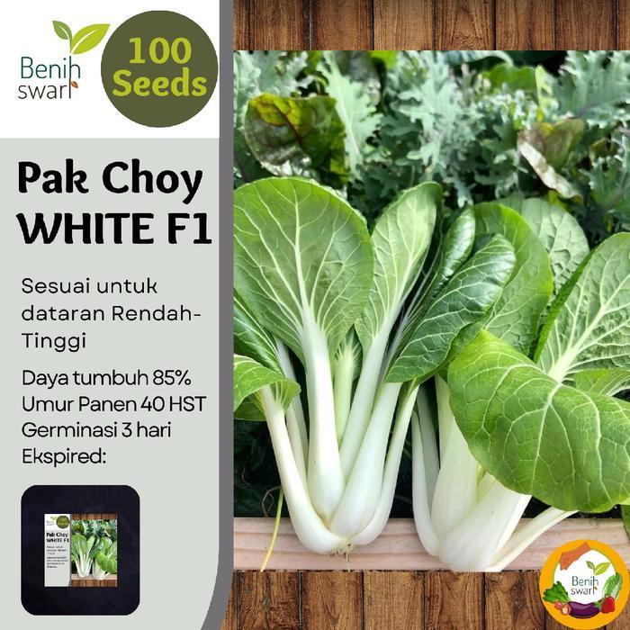 Isi 100 Butir Benih Pak Choy WHITE F1