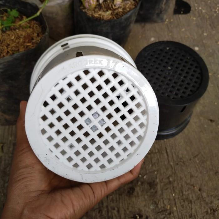 "New" pot anggrek 17, pot cattleya, pot anggrek bulan hitam,