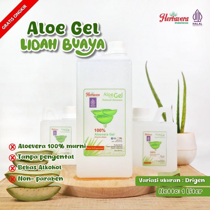 Aloevera Gel Lidah Buaya Murni Organik 1 Liter Herbavera