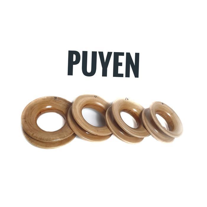 Puyen Kayu Pernis