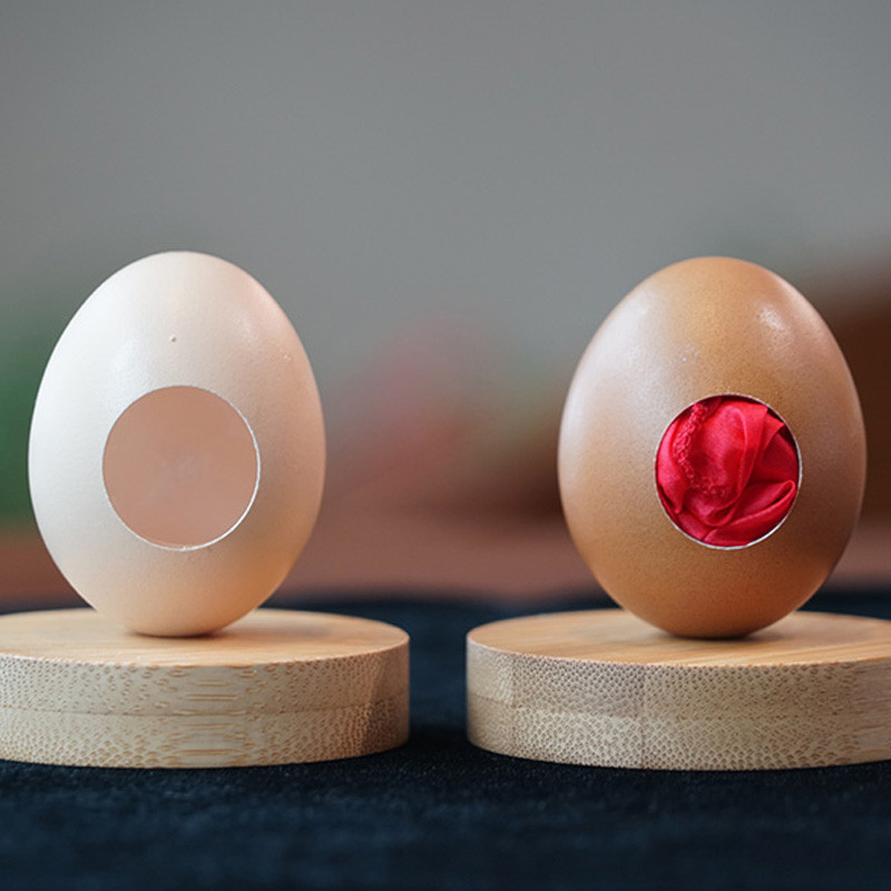 Real Egg (White/Brown) Magic Tricks Real Egg Made Silk to Egg Routine Magic Accessories Close Up