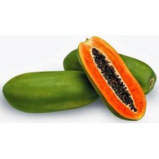 benih biji buah pepaya merah delima