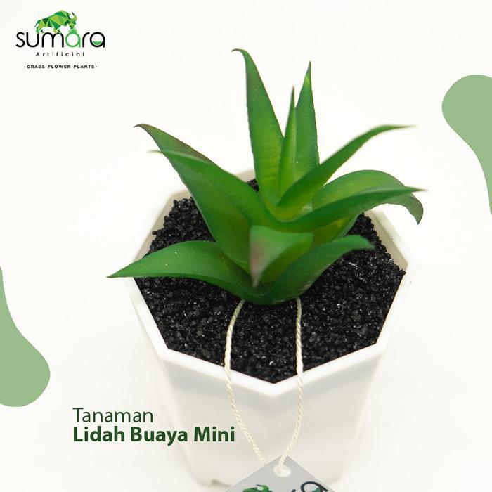 Tanaman Sintetis / Tanaman Palsu / Tanaman Artificial Lidah Buaya Mini